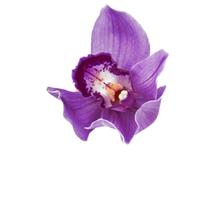 Sabai di Wohlfühloase Thai Massage & Wellness